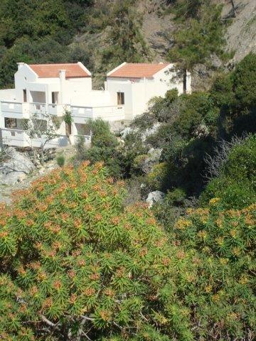 Ravdoucha Beach Studios Ravdhoúkha Exterior foto